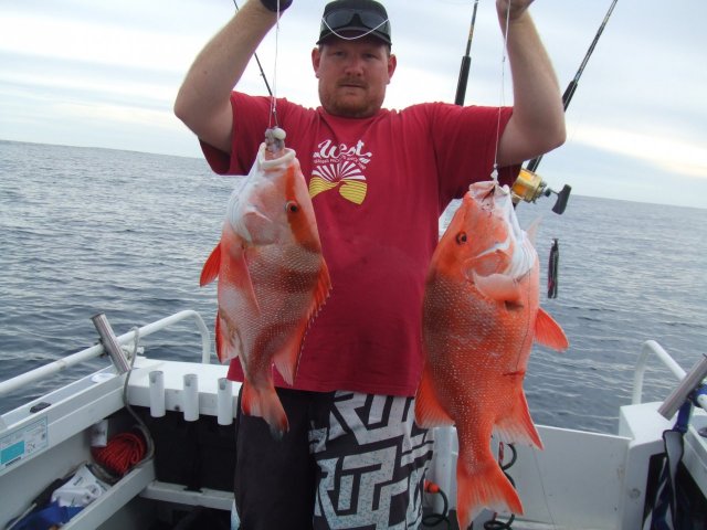 Scotties Double Red Hookup